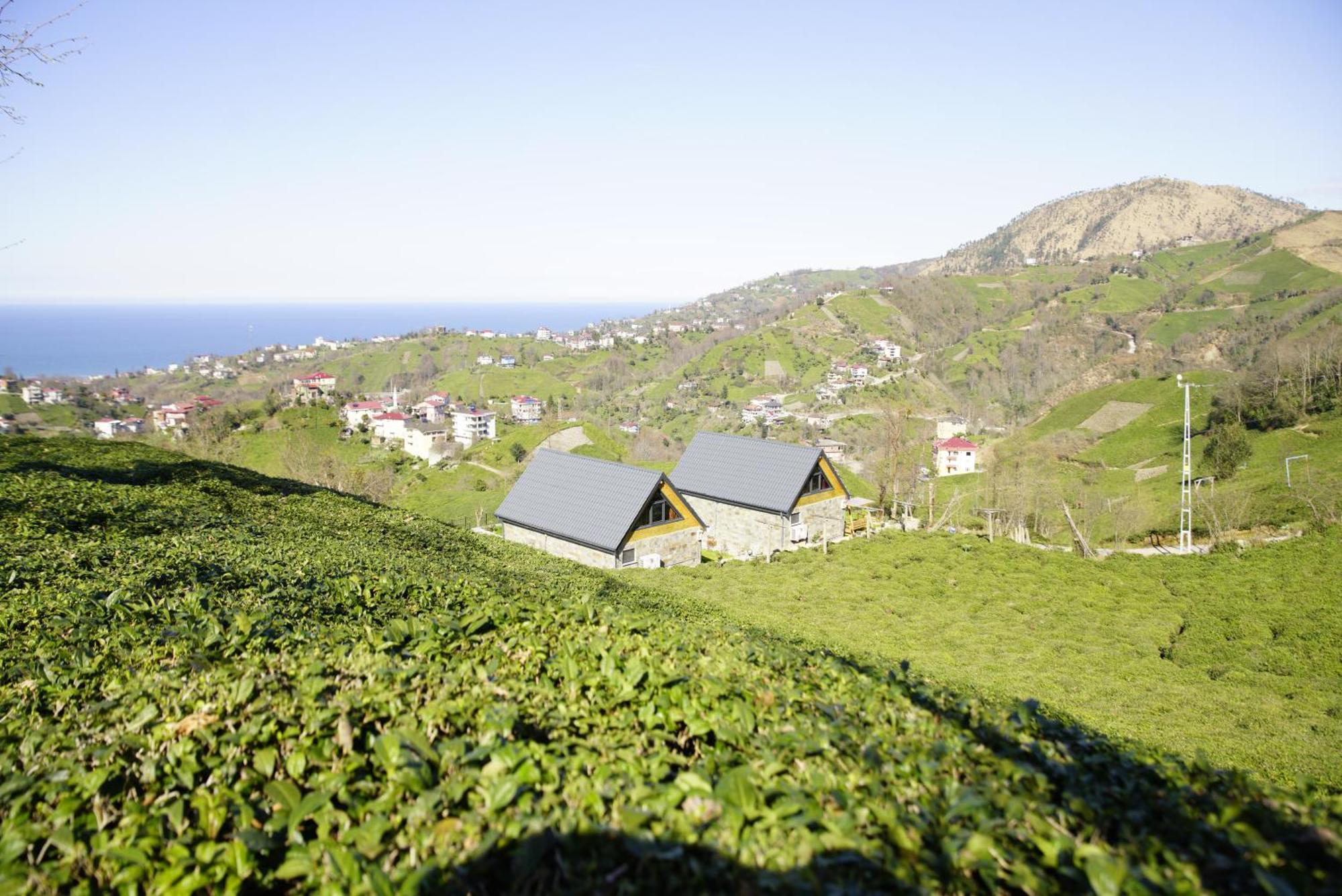 Seyregah Dag Evi Hotel Ardesen Bagian luar foto